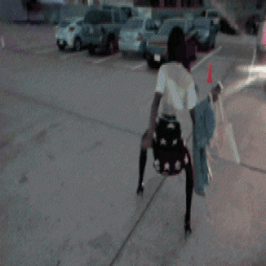 复刻经典 猫跟鞋时髦好穿美得刚刚好