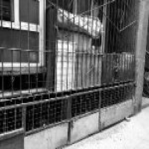 小区住户在自家阳台养鸡 凌晨5点打鸣扰民