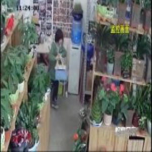 亲生父母出“出租”幼童五万元一年