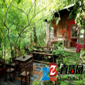 大艺树｜城市和室外桃源到底有多远？