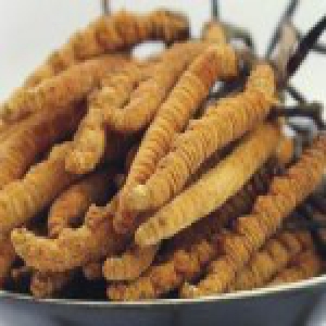 女孩体弱多病欲进补 吃一个月虫草双肺被痰堵死