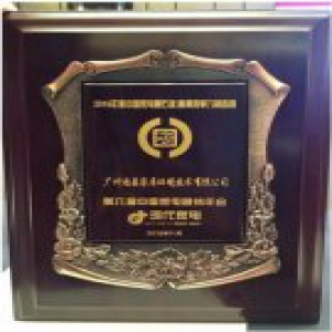 迪森家居荣获2016年度中国家电磐石奖!