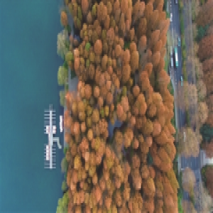 这两天在杭州 你可能会有“冬如四季”的感觉