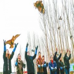 河南积极行动保护野生鸟类 32只获救护鸟儿重回蓝天