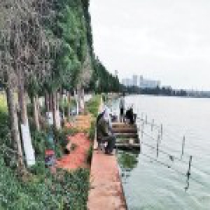 老人在公园禁钓牌旁淡定钓鱼 称为陶冶情操