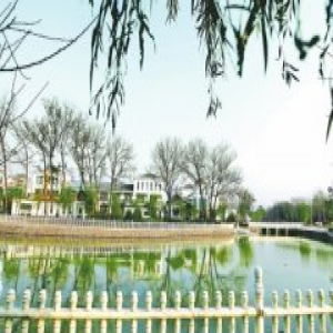 河南百城建设提质工程获开发性金融支持 加速推进