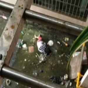 女童家中坠亡 家长起诉出租人索赔十万被驳回