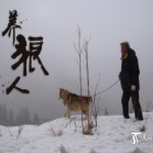 新疆7旬老人养150匹野狼 伙食费一年花近百万
