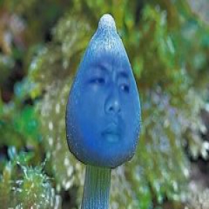 2016年十大网络流行语，你“懂”几个？