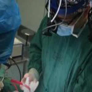 女子自曝被整形医生性侵 涉事医生被暂停临床业务