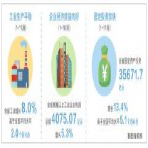 前11个月河南经济稳中有进