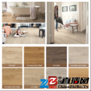 环保首选，得高Quick-Step艺术木地板至臻系列