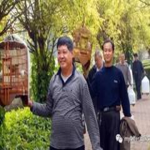 种族黑、地域黑的脑子里究竟装的是什么？？、
