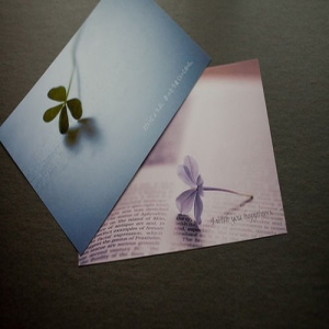 12月六级选词填空真题及参考答案(文都版)