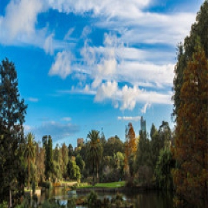 尊重学生的五大点，老师们必须重视起来！