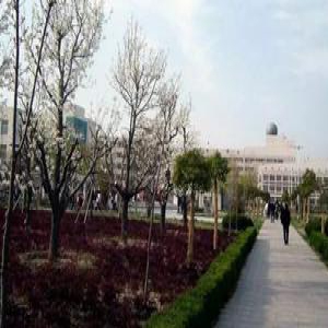 家长择校难：多少分能上一流公立学校国际班