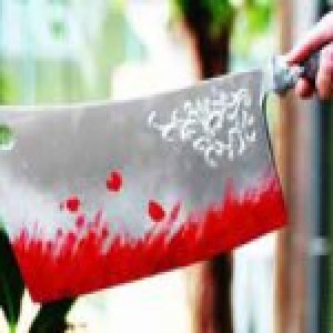 男子杀人埋尸潜逃11年后在山东落网 获刑11年