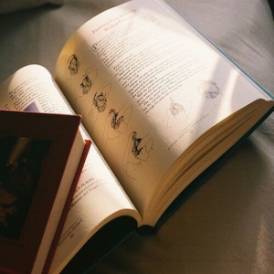 自主招生和综合评价招生的异同点解析