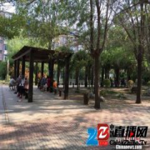 共谋共建共管共享 沈阳探索老旧小区改造新模式