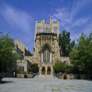 教育专家支招申请美国名校：关键在卓尔不群