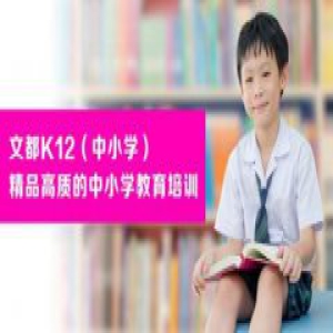 精品高质的中小学教育培训