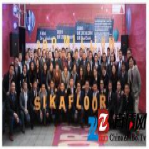 西卡中国地坪与涂料业务首创税前3.5亿新高