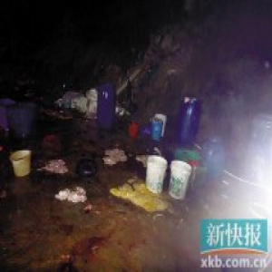 深圳查获私宰猪肉2.6万斤 杀猪刀与猪粪便混在一起