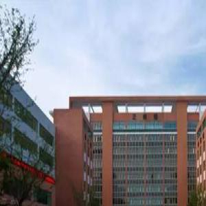 三大国际课程体系全解析 究竟哪个适合孩子