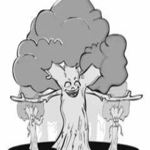 中国“名校”为什么“牛”？