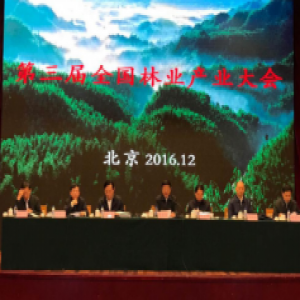 保护环境与发展经济 佘学彬荣获“第三届中国林业产业突出贡献奖”