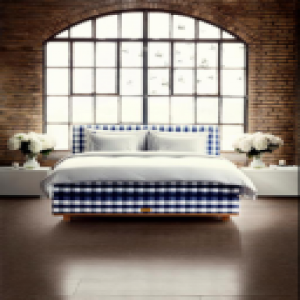 海丝腾Vividus——世界独一无二之作