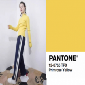 简一黄色系调动明媚氛围