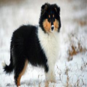 去除白色家具的污迹