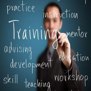 2017年MBA/MPA等管理类联考英语真题及解析