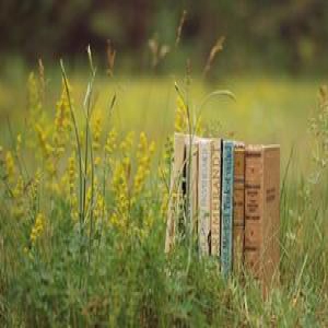 2017年MBA/MPA/MPACC等管理类联考作文解析