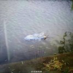 高校校内小河发现女尸 学生曾看到女子坐河边