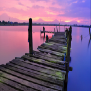 森歌集成灶：很高兴遇见你