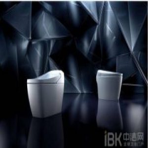 先洗PP还是先冲马桶？杜菲尼教你正确使用智能马桶的方式