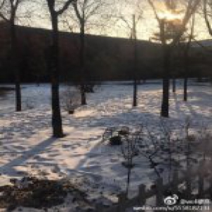 元旦期间我国整体偏暖 华南地区将重回20℃以上