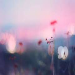 哈市调休安排出炉，家长一封“致2017年崭新的自己”刷爆朋友圈！