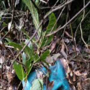 杭州山崖下发现人头骨 发现为失踪3年的采茶女