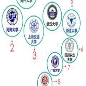 年末再传喜讯，厉害了word郑大！