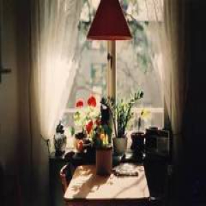 优秀与平庸的差距，往往只在一件事