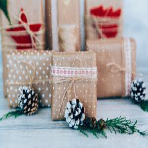 双语美文：这是我收到过最好的圣诞礼物