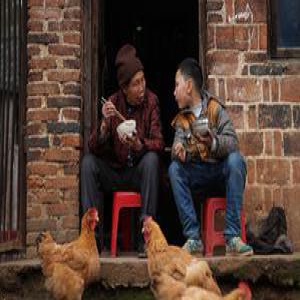 农村教育真的一败涂地了吗？