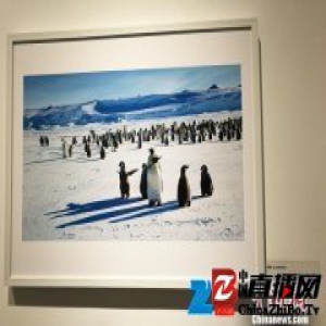 河北一摄影爱好者用镜头诠释“地球有极吾心无极”