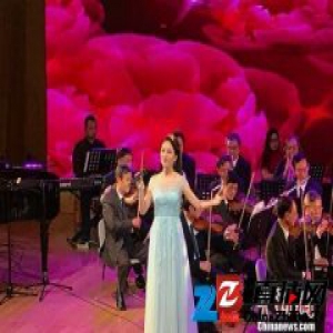 “中越歌曲演唱大赛”成为连结两国文化交流桥梁
