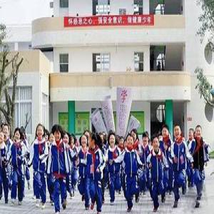 2016年中小学课外辅导“吸金”超八千亿