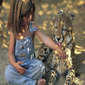 双语：这个女孩不简单 从小和野生动物是好友