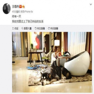 有狗有家有生活 王珞丹理想中的生活是这样的